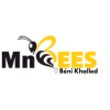 MnBees Béni Khalled