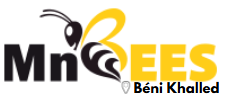 MnBees Béni Khalled